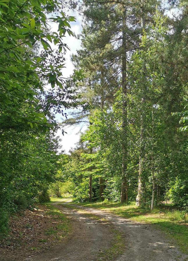 Saint-Aubin-le-Cloud Camping De La Chagnee מראה חיצוני תמונה