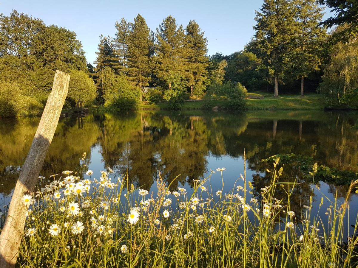 Saint-Aubin-le-Cloud Camping De La Chagnee מראה חיצוני תמונה