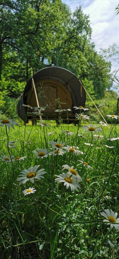 Saint-Aubin-le-Cloud Camping De La Chagnee מראה חיצוני תמונה