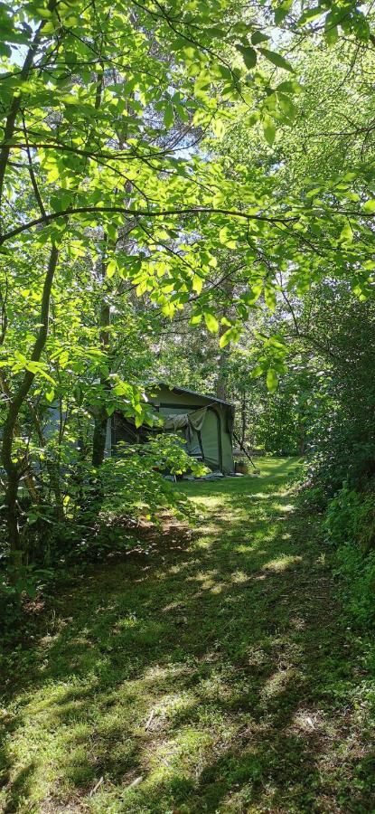 Saint-Aubin-le-Cloud Camping De La Chagnee מראה חיצוני תמונה